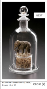 A tiny little brown elephant is captured in a bottle, by glass artist Marc Petrovic. 